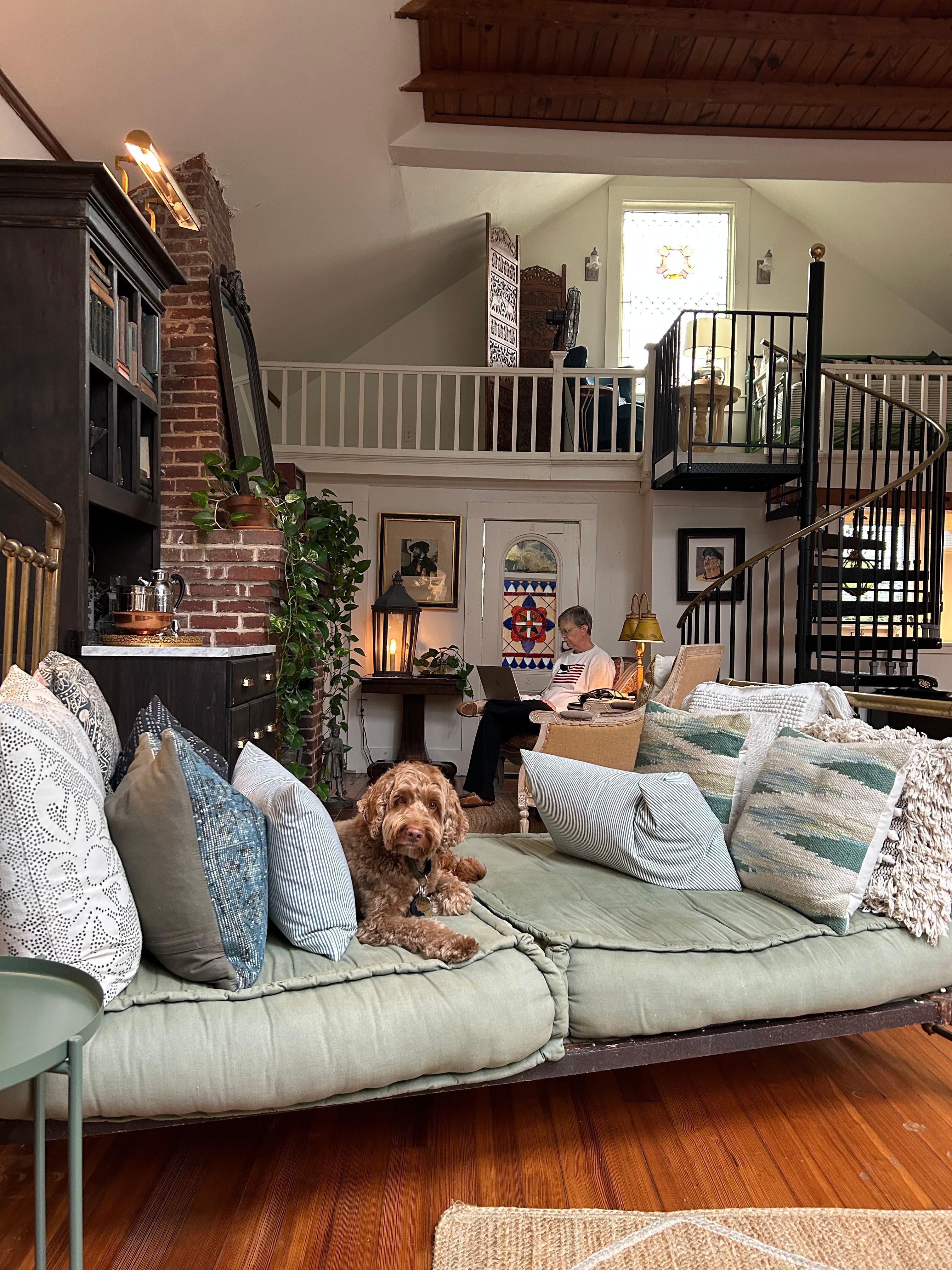 Our dog felt like a king in the day bed!