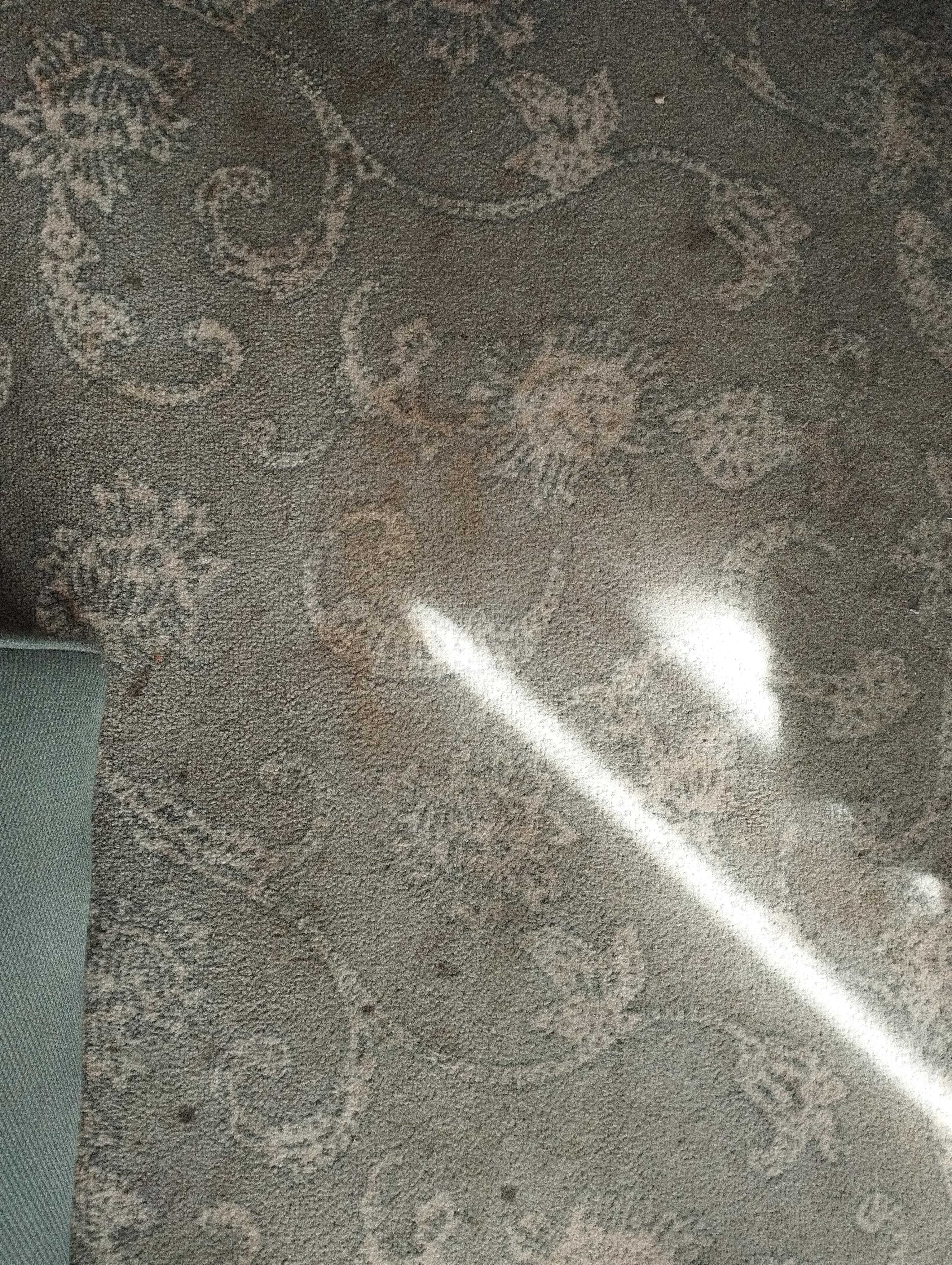 Der ganze Teppich ist übersät mit Flecken etc. 