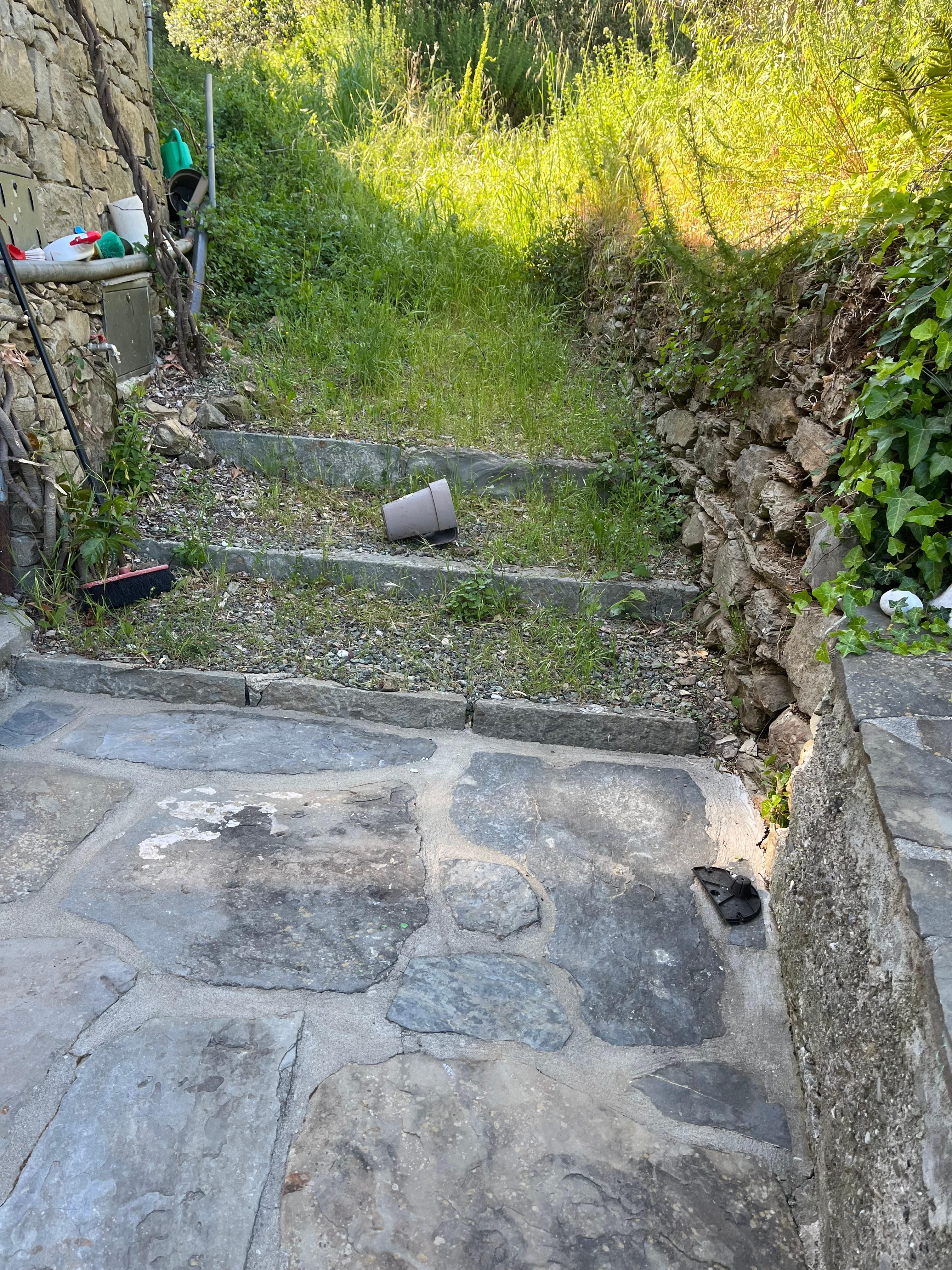 Property is not maintained.