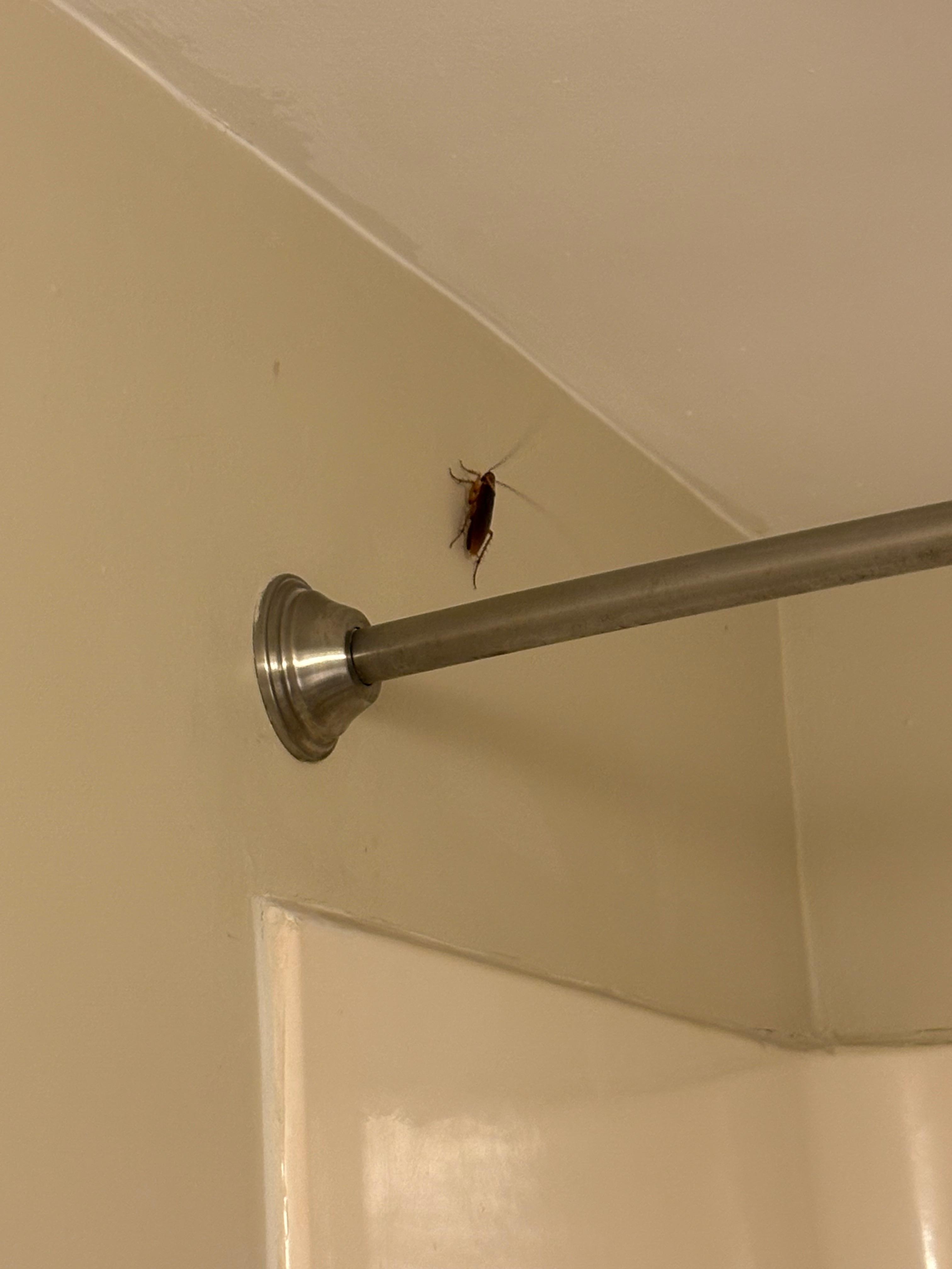 I was told, “it’s Florida, there’s always bugs”. Well I’m not from Florida and I don’t want to pay good money to stay with them. 