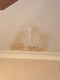 Main bedroom ceiling