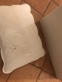 Blood on pillow