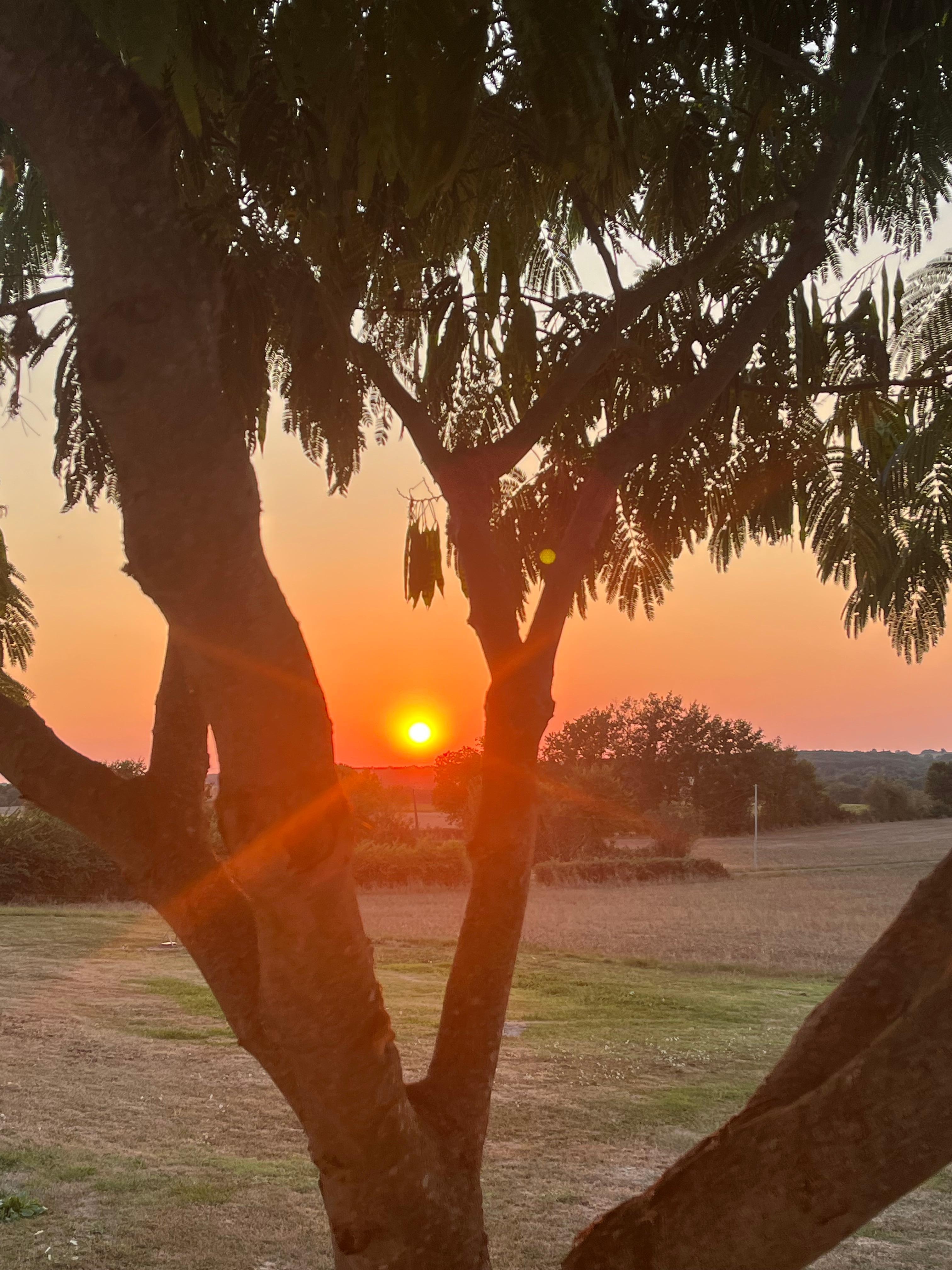 Sunset from the veranda