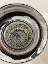 This is the dirty, moldy shower head. Disgusting!