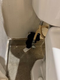 Dirty underwear behind toilet