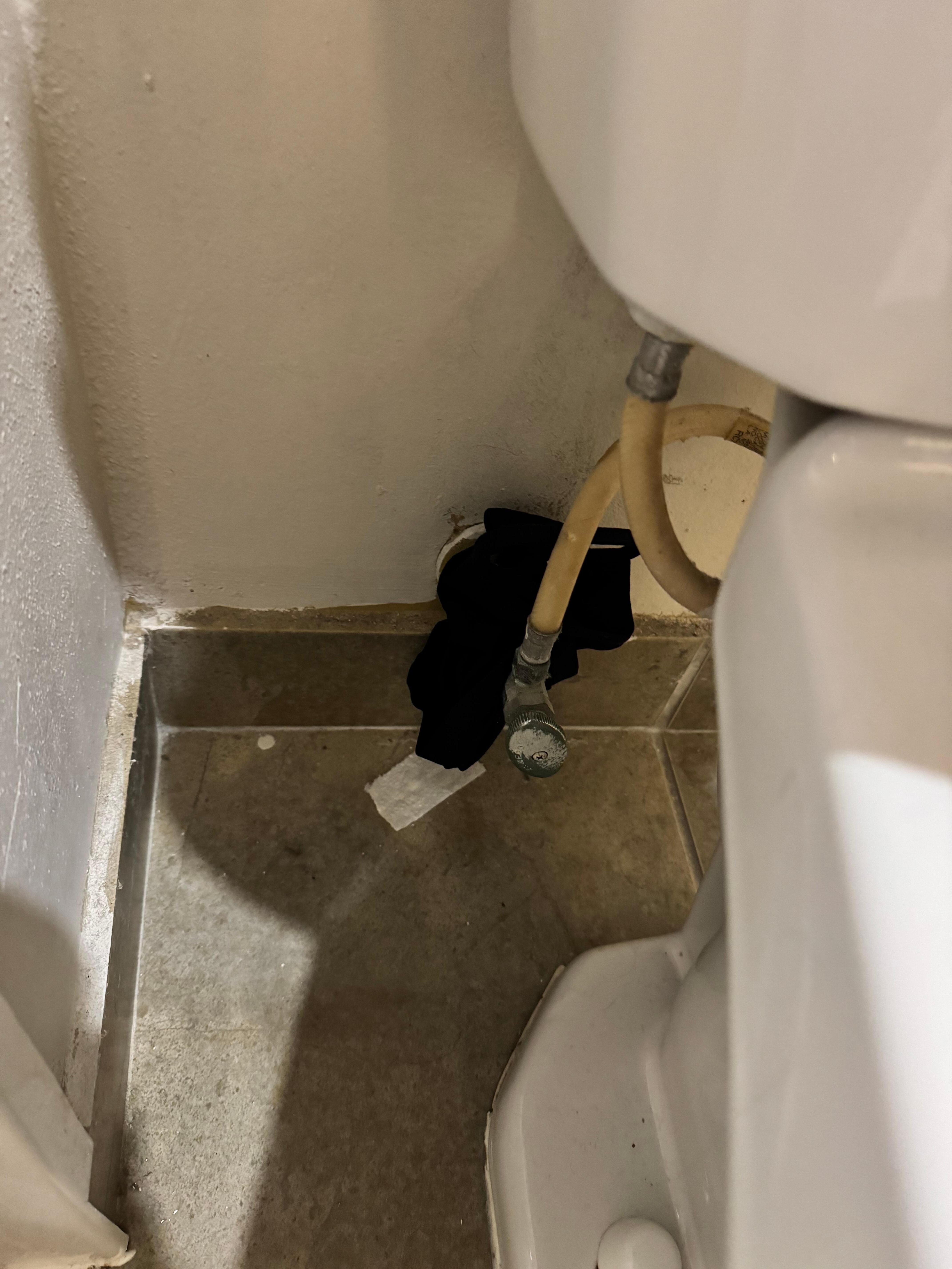 Dirty underwear behind toilet 