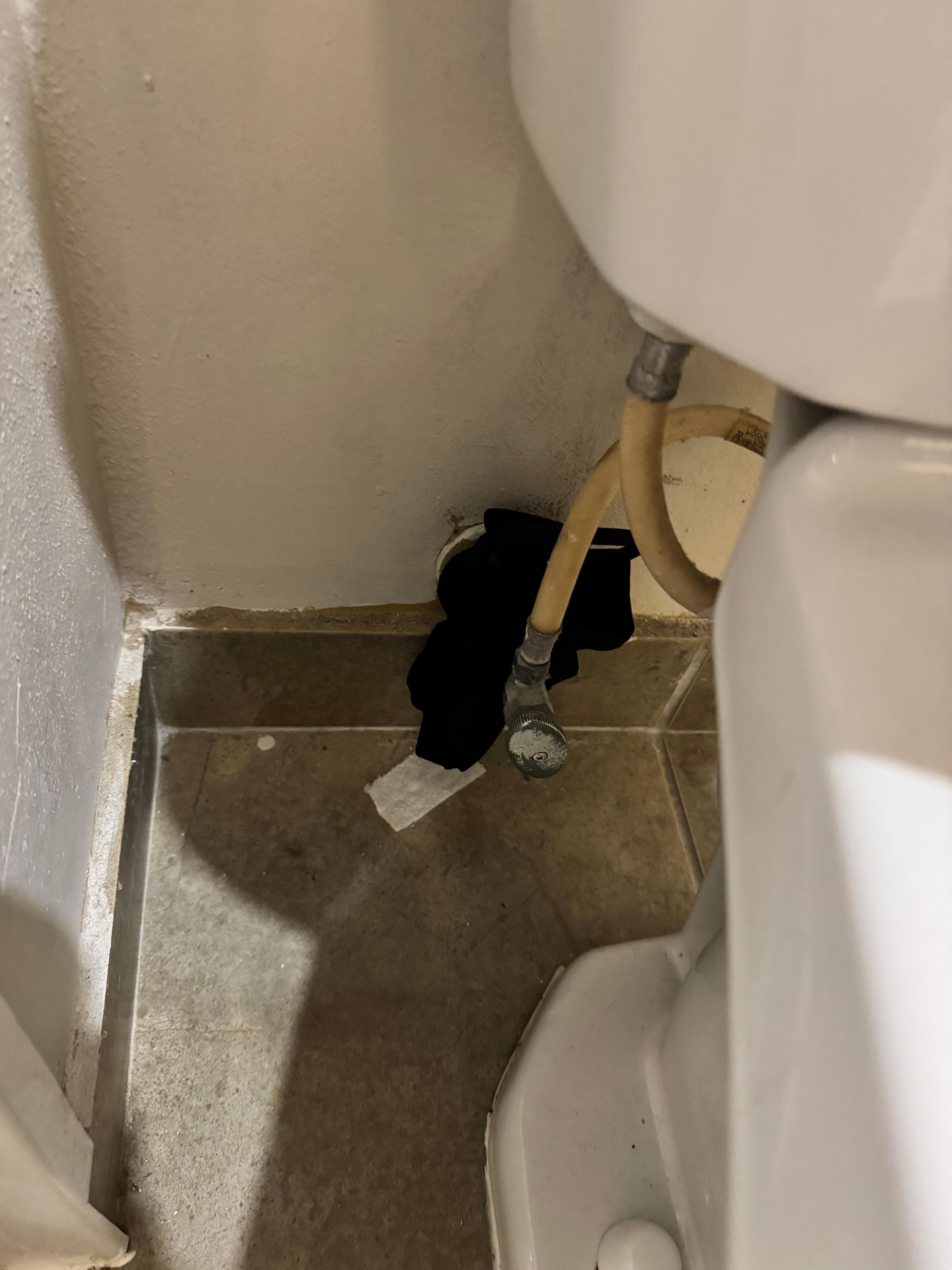 Dirty underwear behind toilet