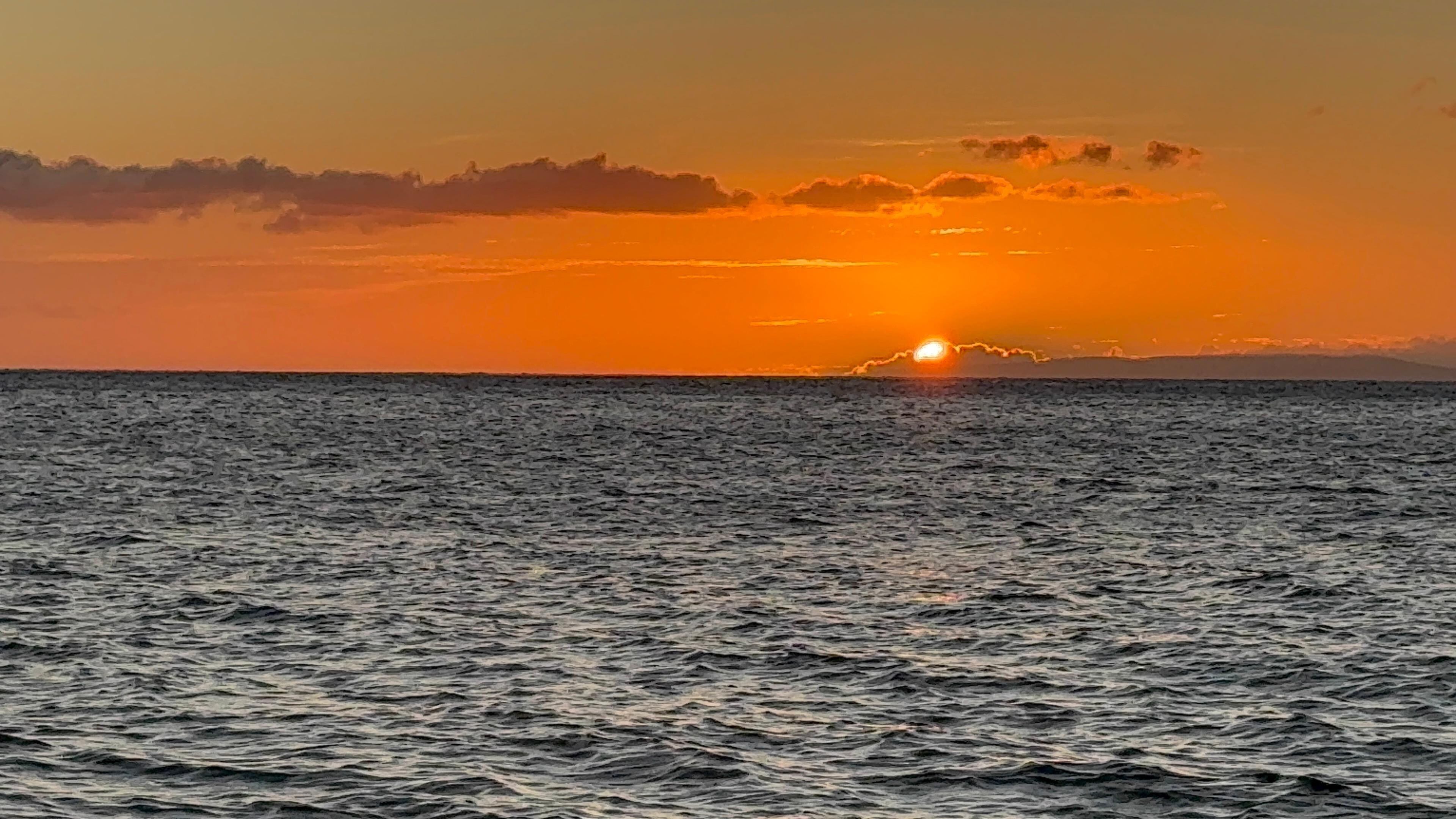 The spirit of Aloha