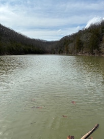 Hike down to the lake- beautiful and peaceful