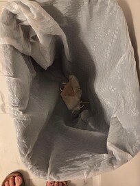 Dirty trash bin upon arrival