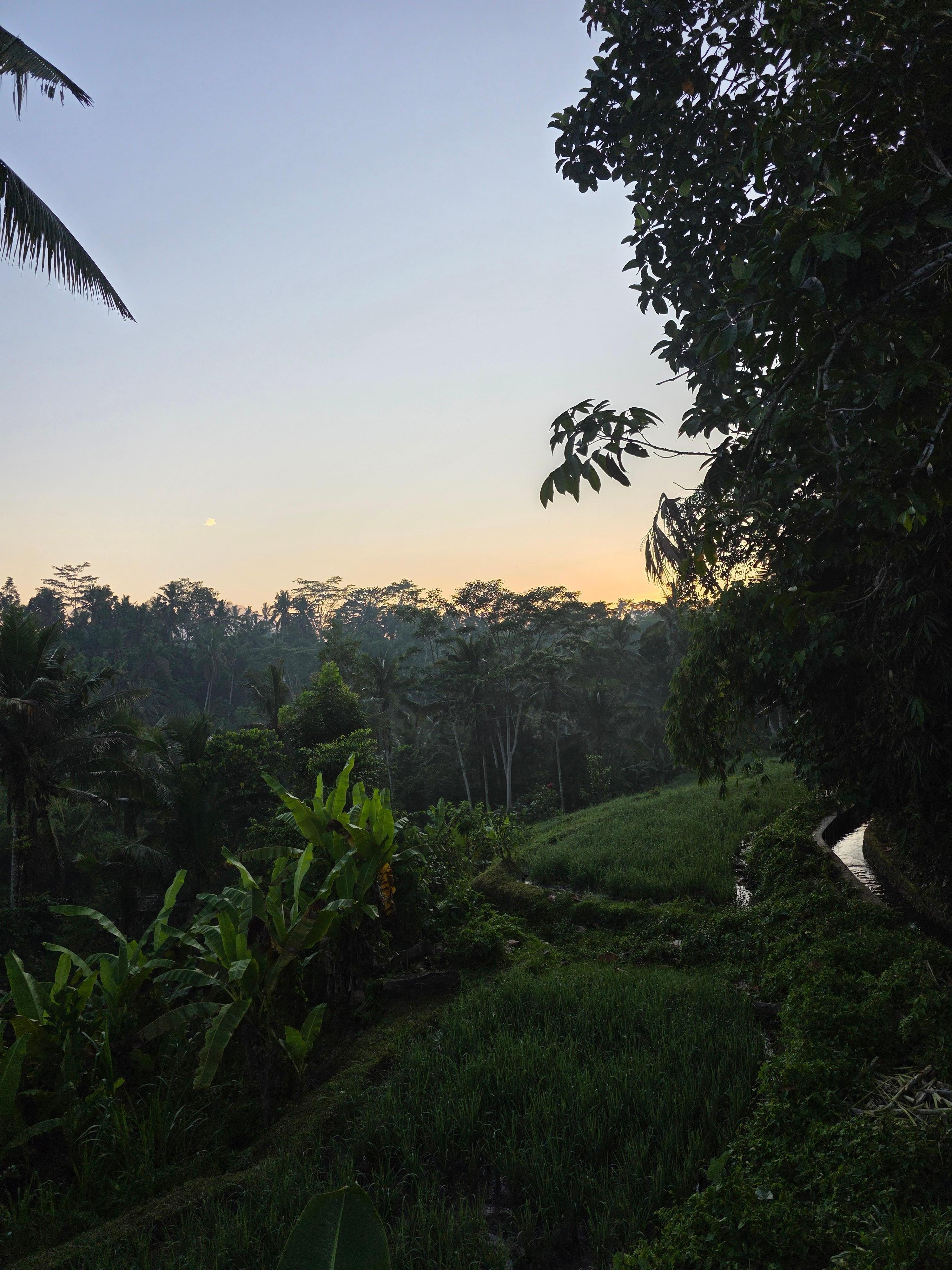 The view every morning!