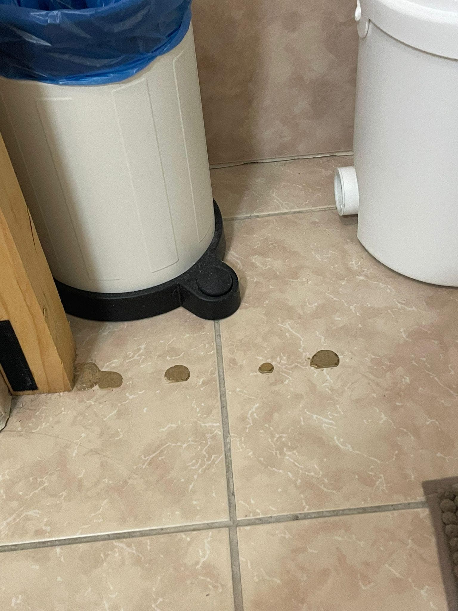 Bathroom clearly unclean with brown spots all over the floor