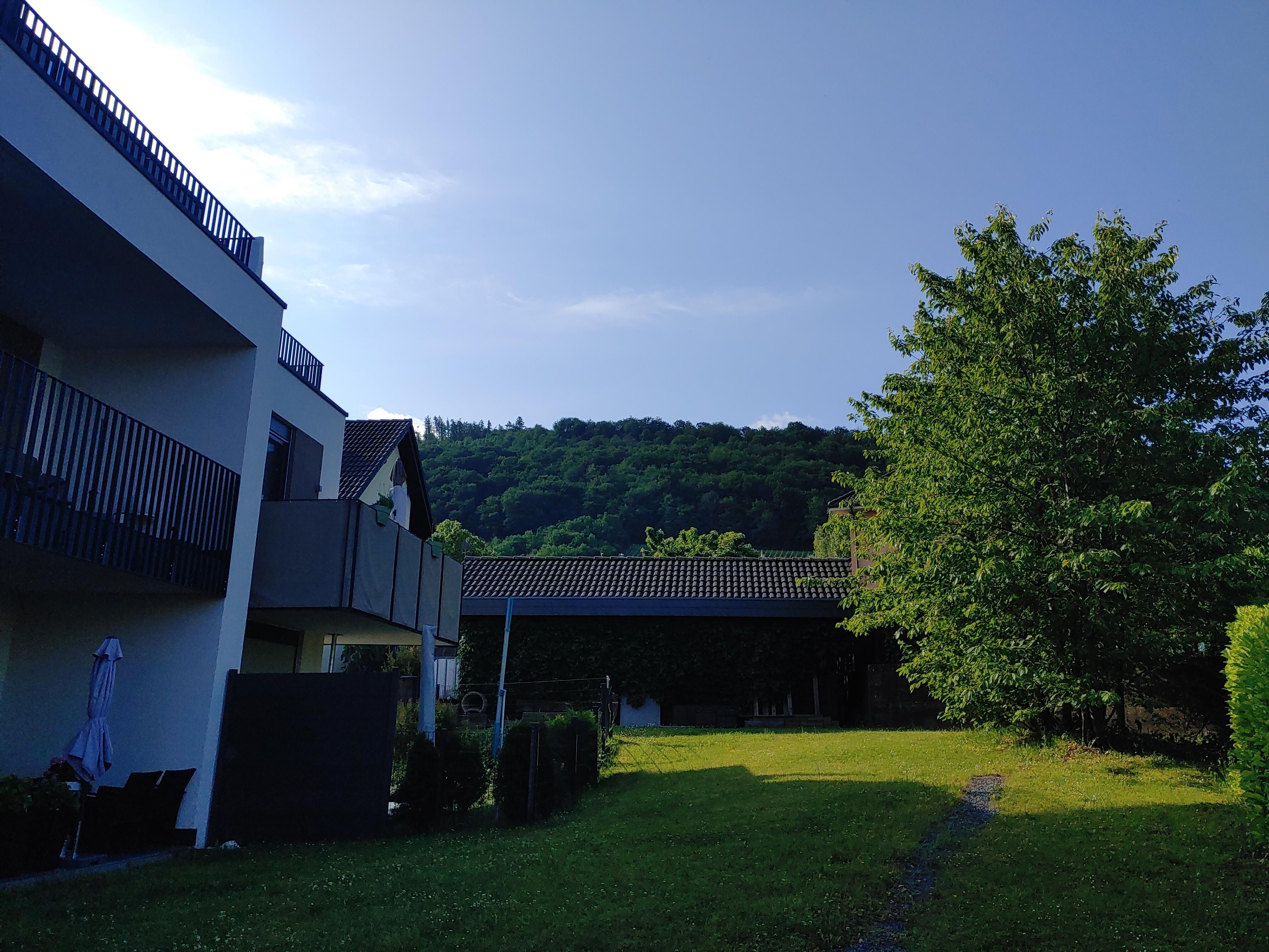 Blick auf den Garten