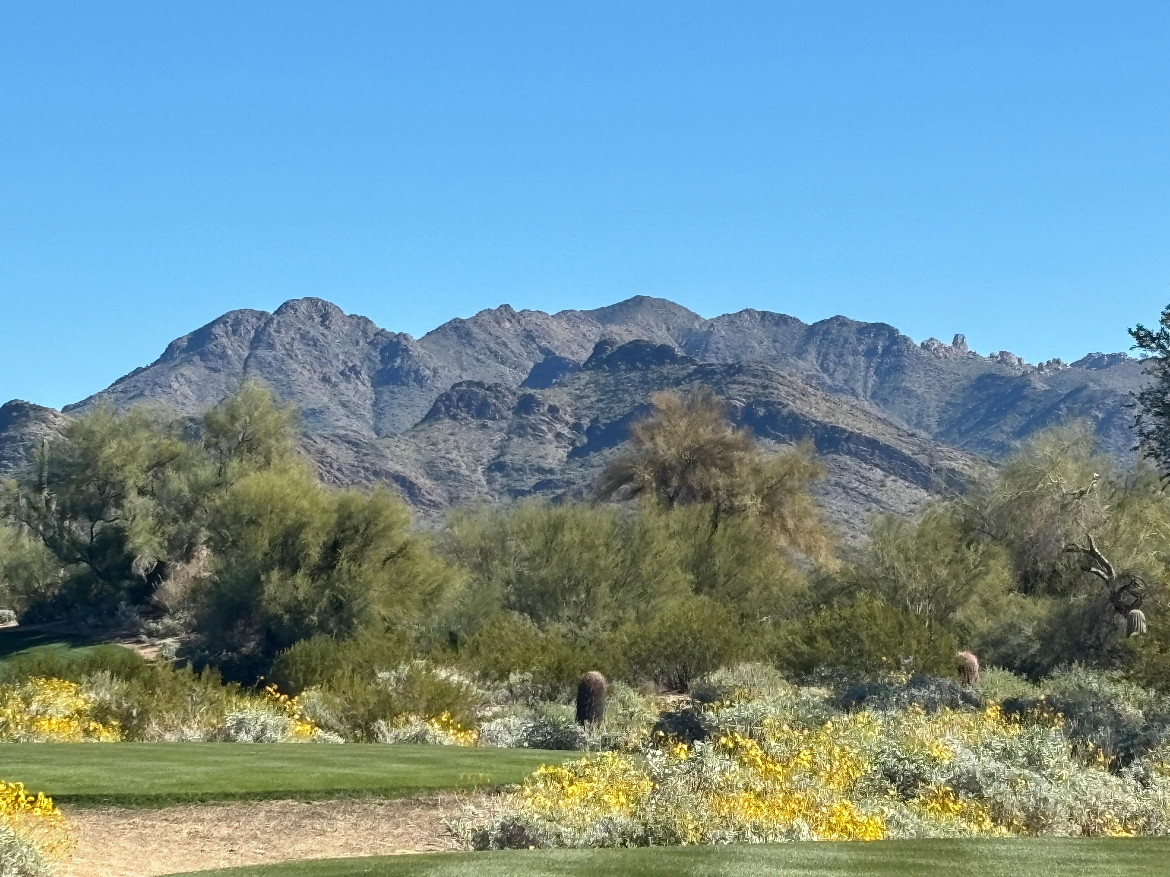 From our walk in the neighborhood.  