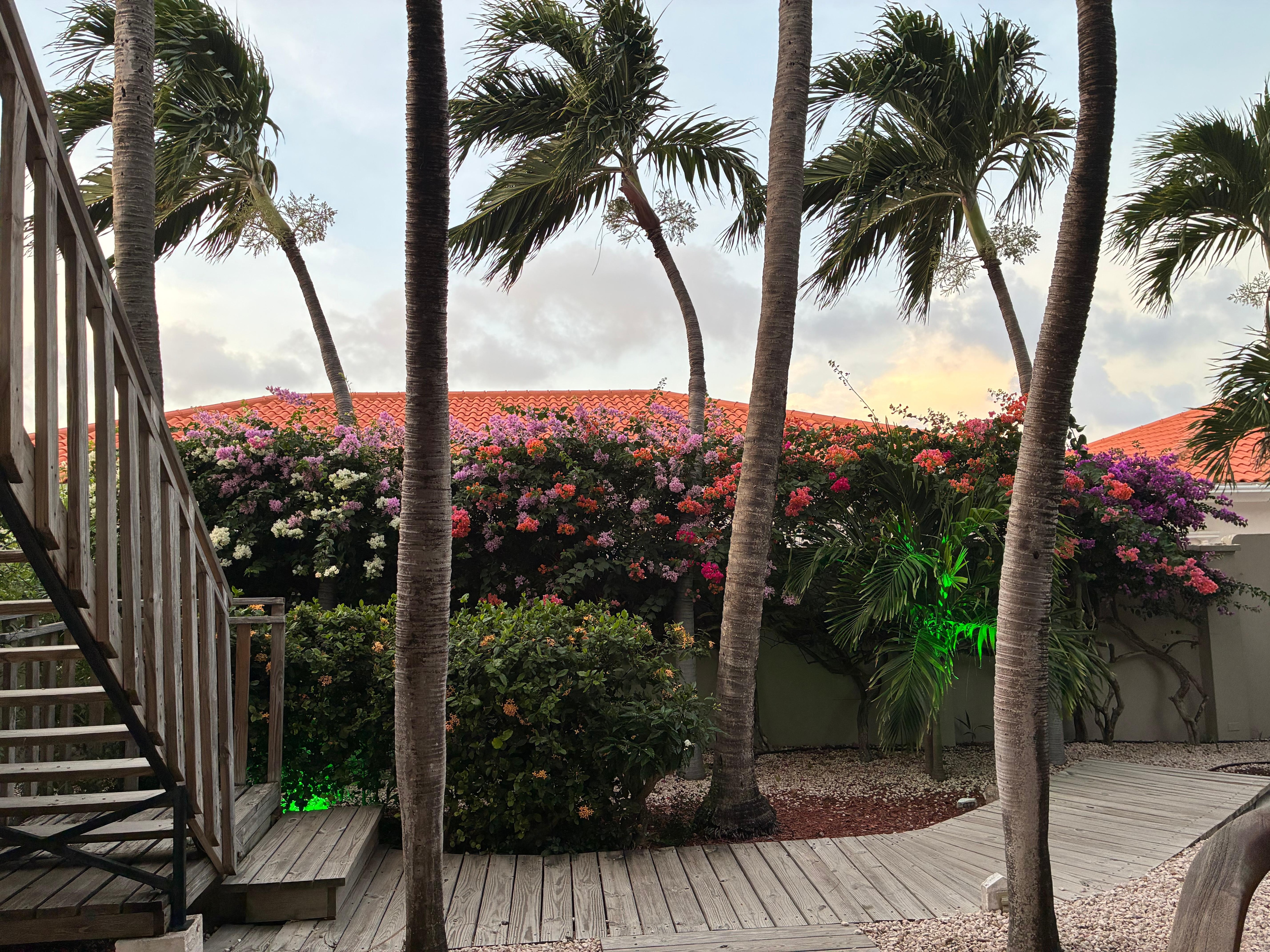 The view from our porch. 