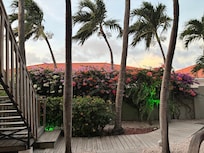 The view from our porch.