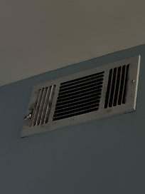 Nasty moldy vents