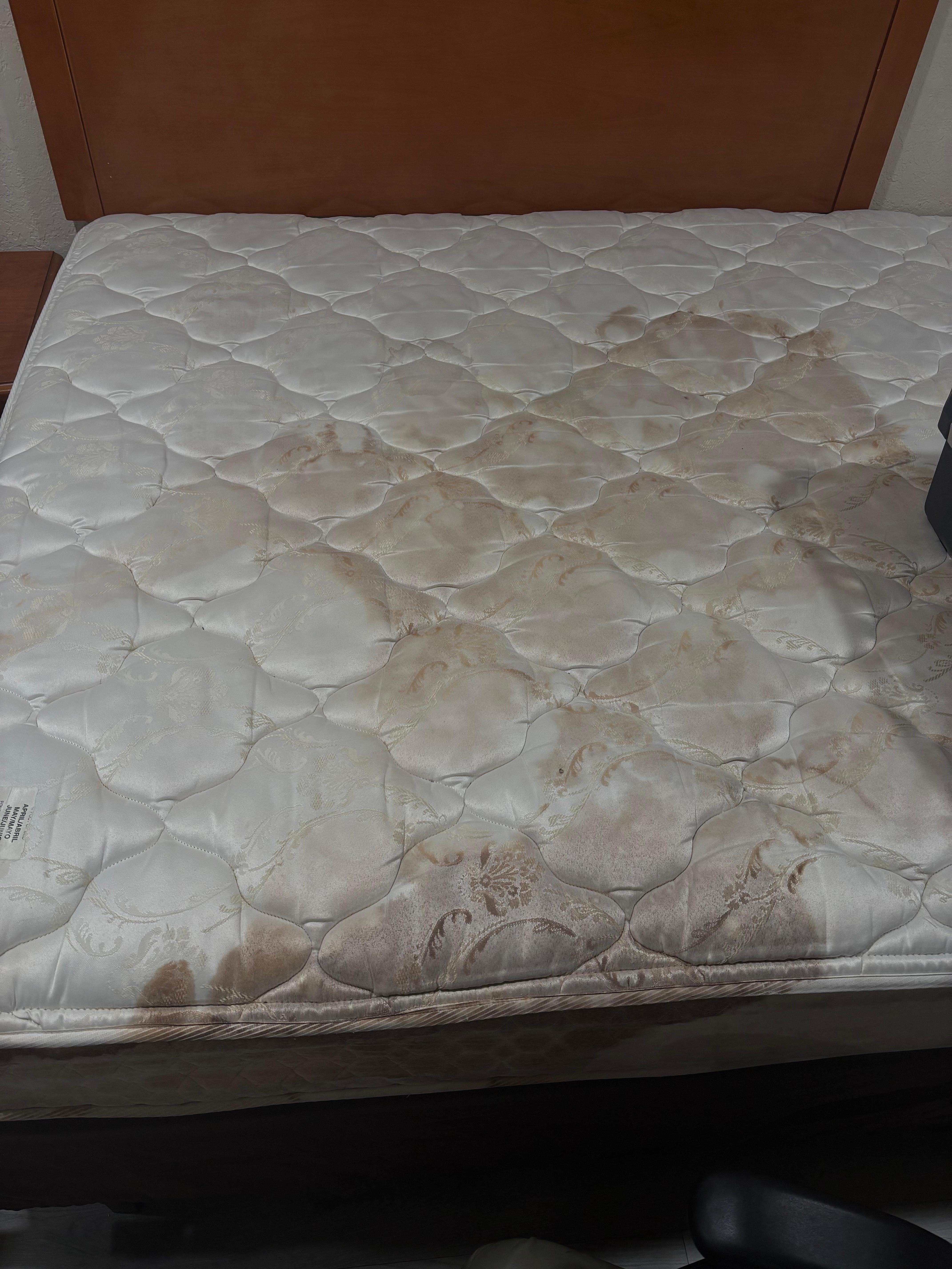 No bed spread or anything, just a flat sheet on the bed, as if it were going to cover this disgusting stain we were expected to sleep on, for $100 a night
