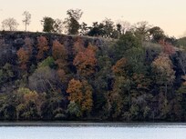 We arrived on 10/30 and by time we left on 11/6, the Fall Folliage had gotten even more amazing. You have to remember mixed in is also ither trees that do not turn in the Fall. So if think it will be like in the NW, no it has its own beauty-enjoy!