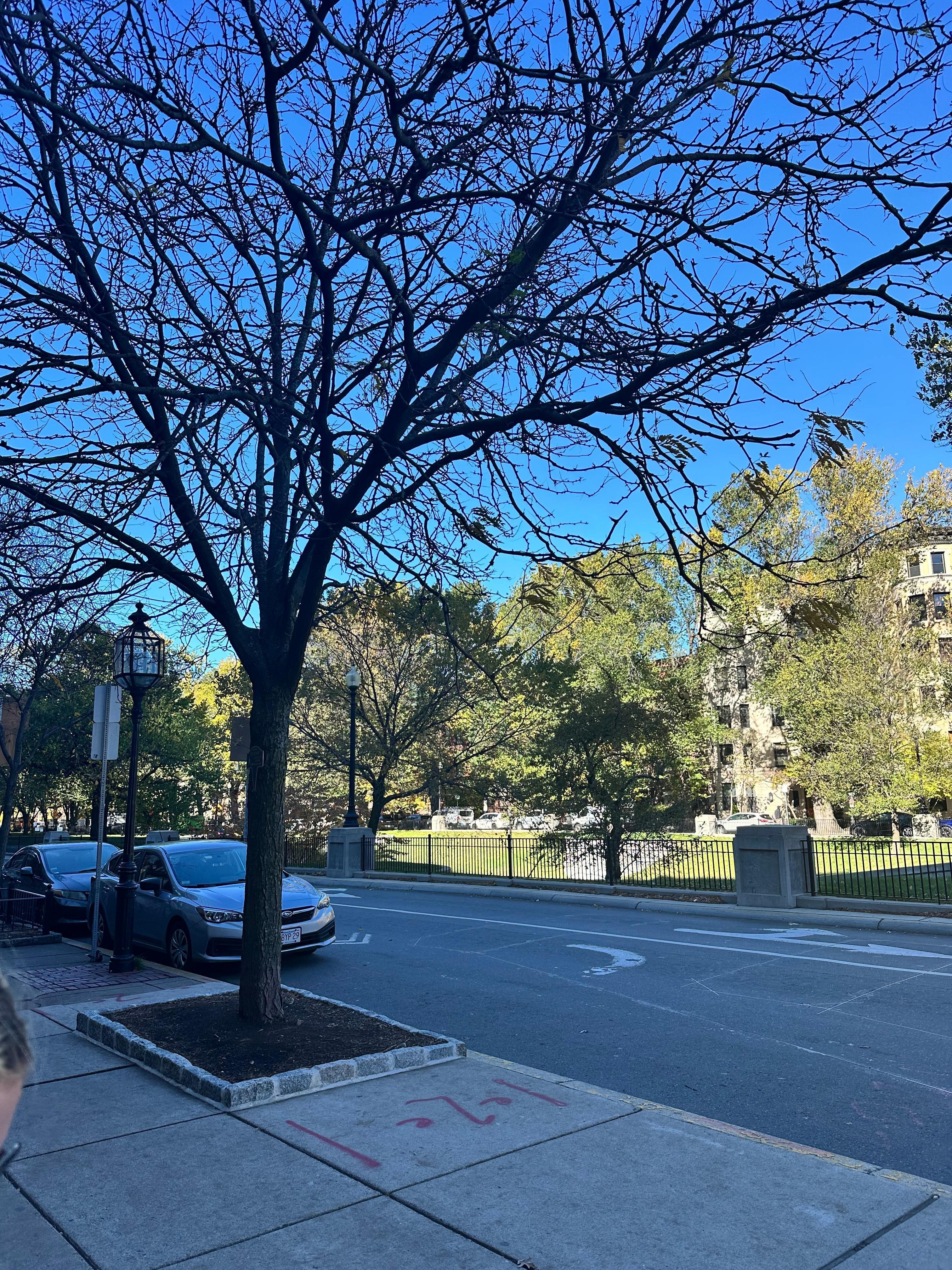 View from front steps of hotel
