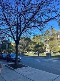 View from front steps of hotel