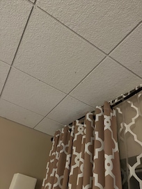 Mosquitoes in room #353