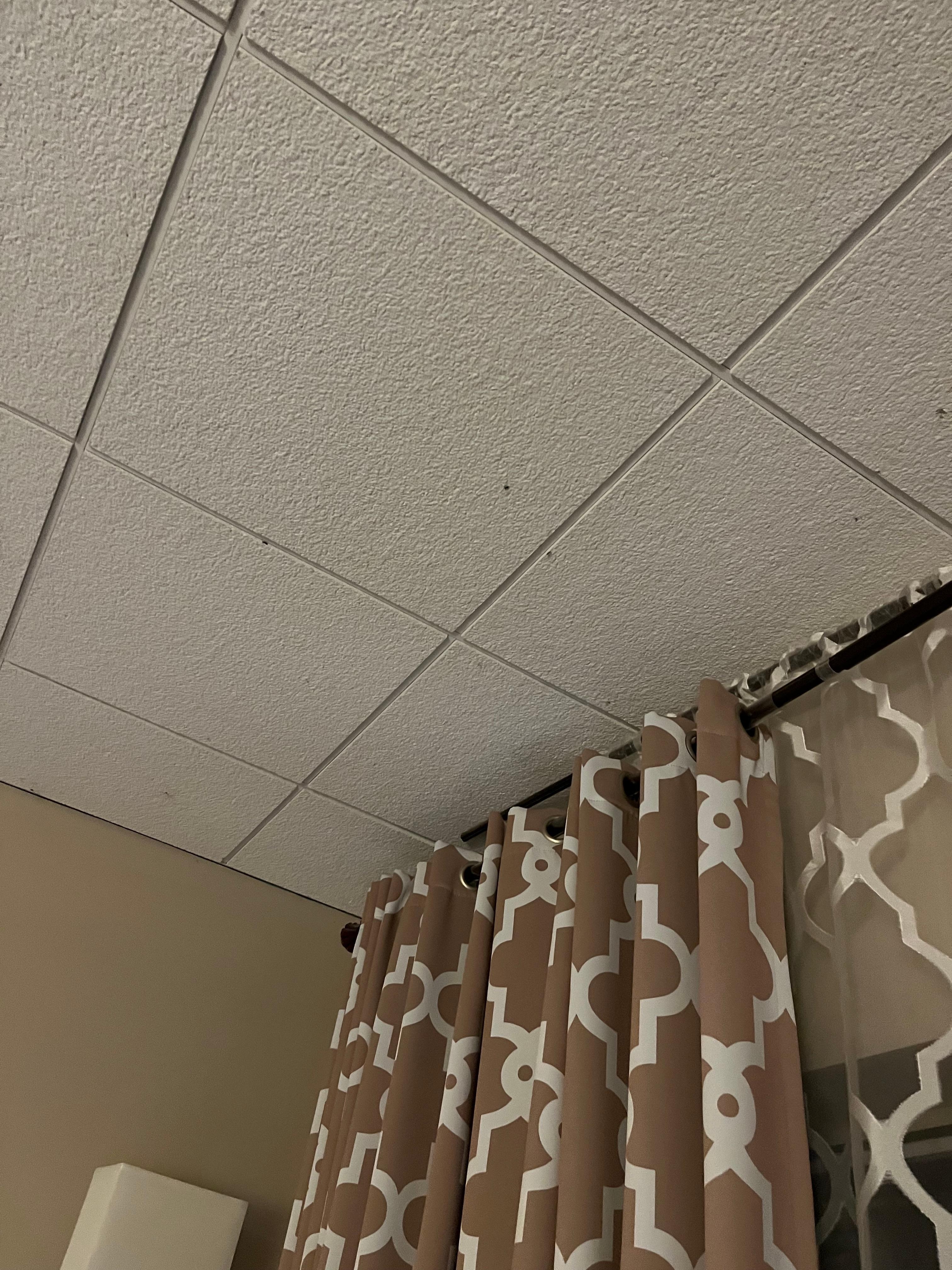 Mosquitoes in room #353