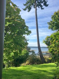 View from the unit