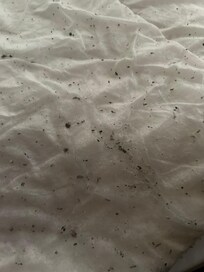 Mould on extra bedding