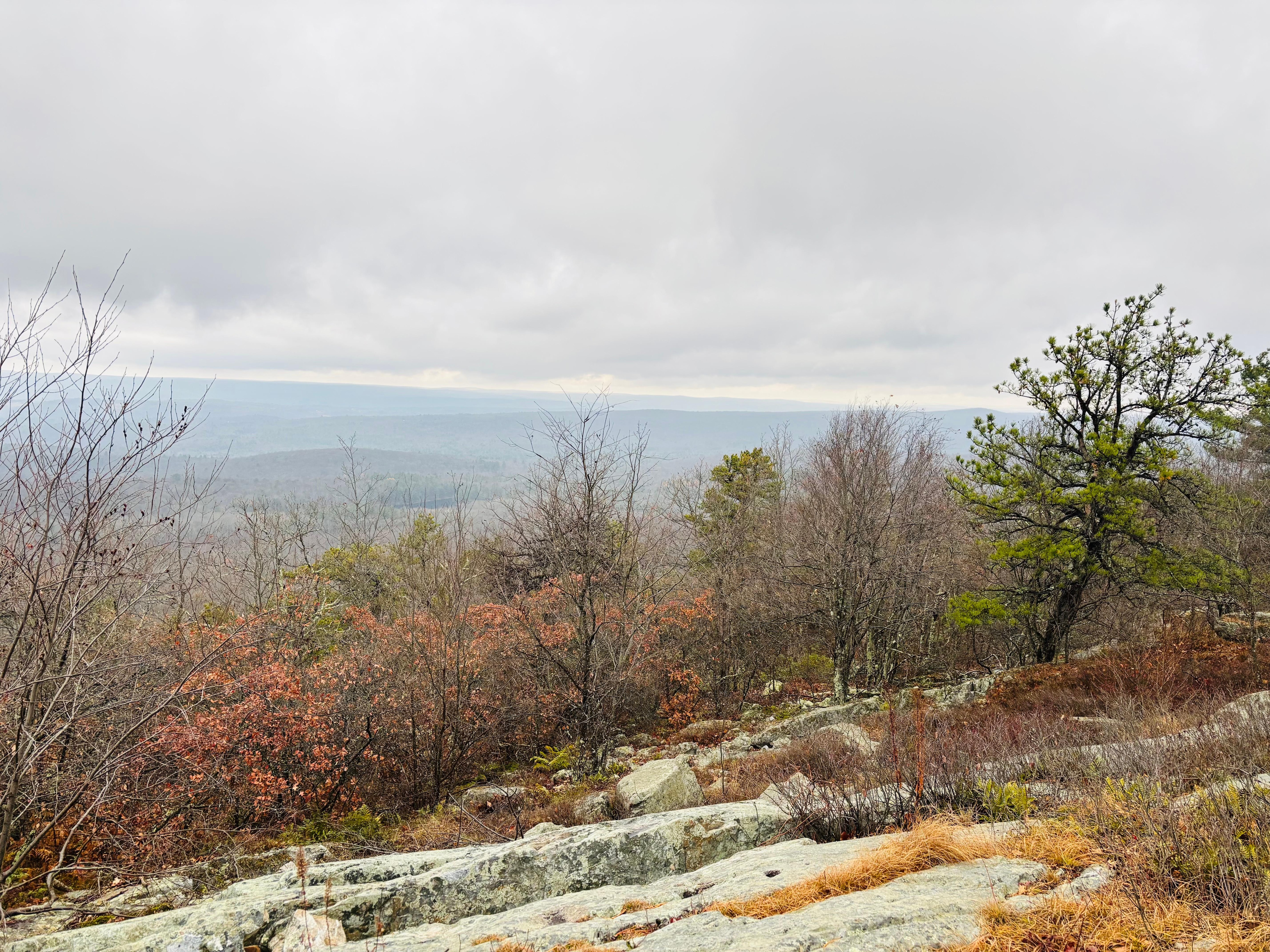 Stokes Forest-Appalachian Trail