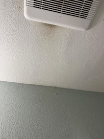 Dust/dirt from vent