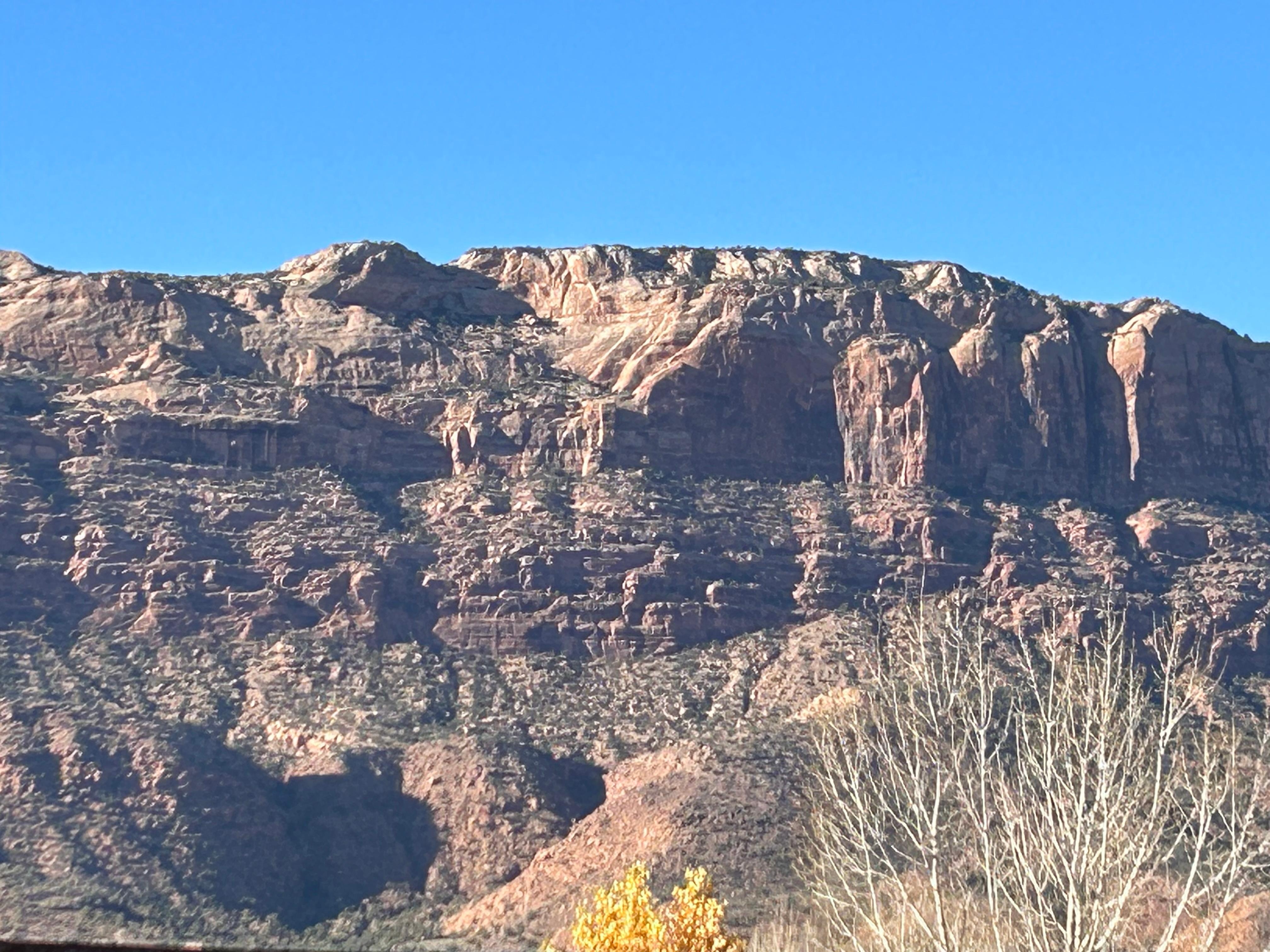 View from the backyard