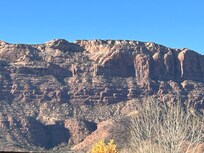 View from the backyard