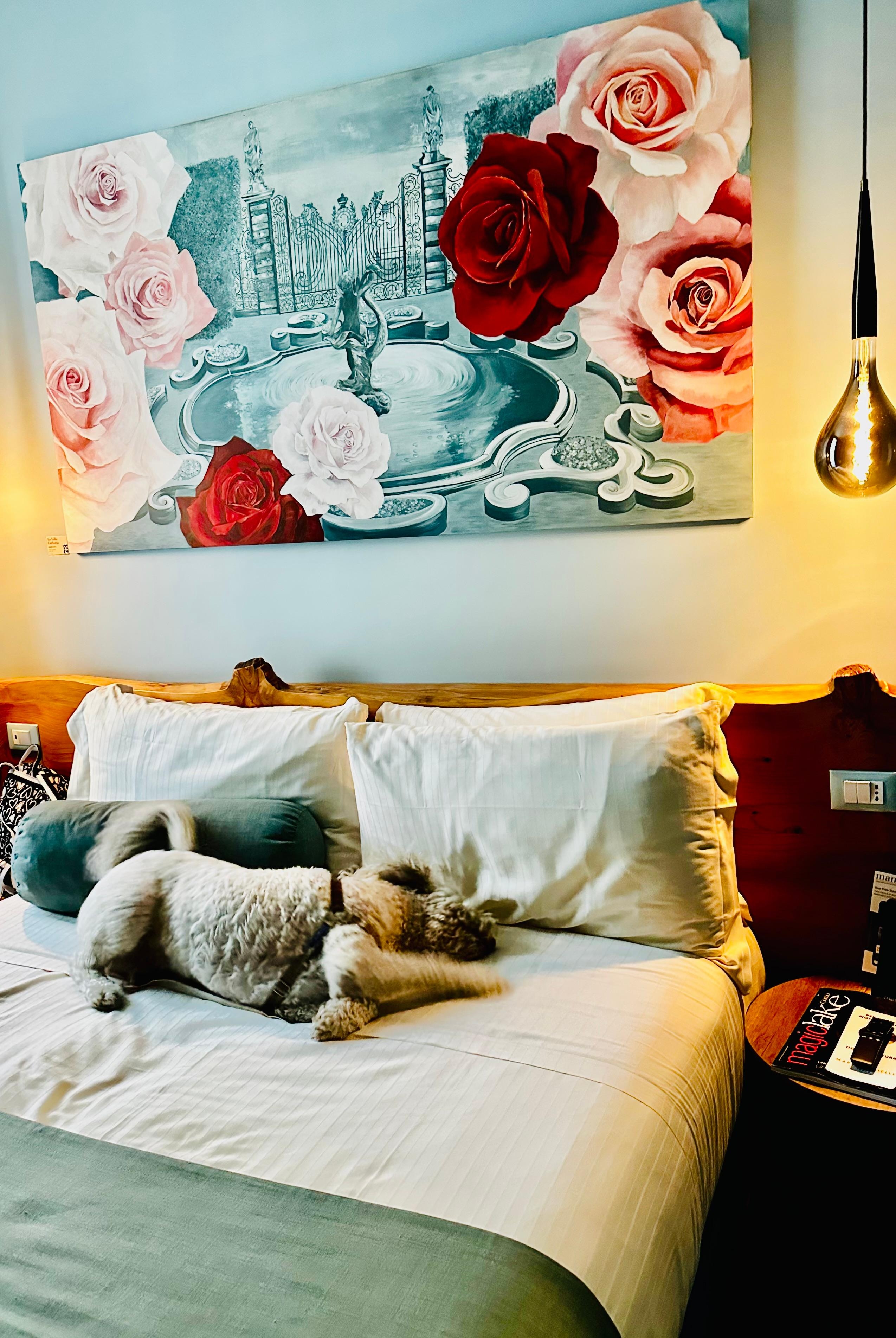 Our accommodations were comfy and attractive 