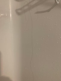 Hair stuck to shower stall wall. I have short grey hair.