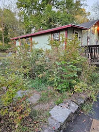 Overgrown vegetation in front of house