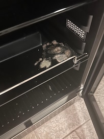 Mold in the mini fridge.