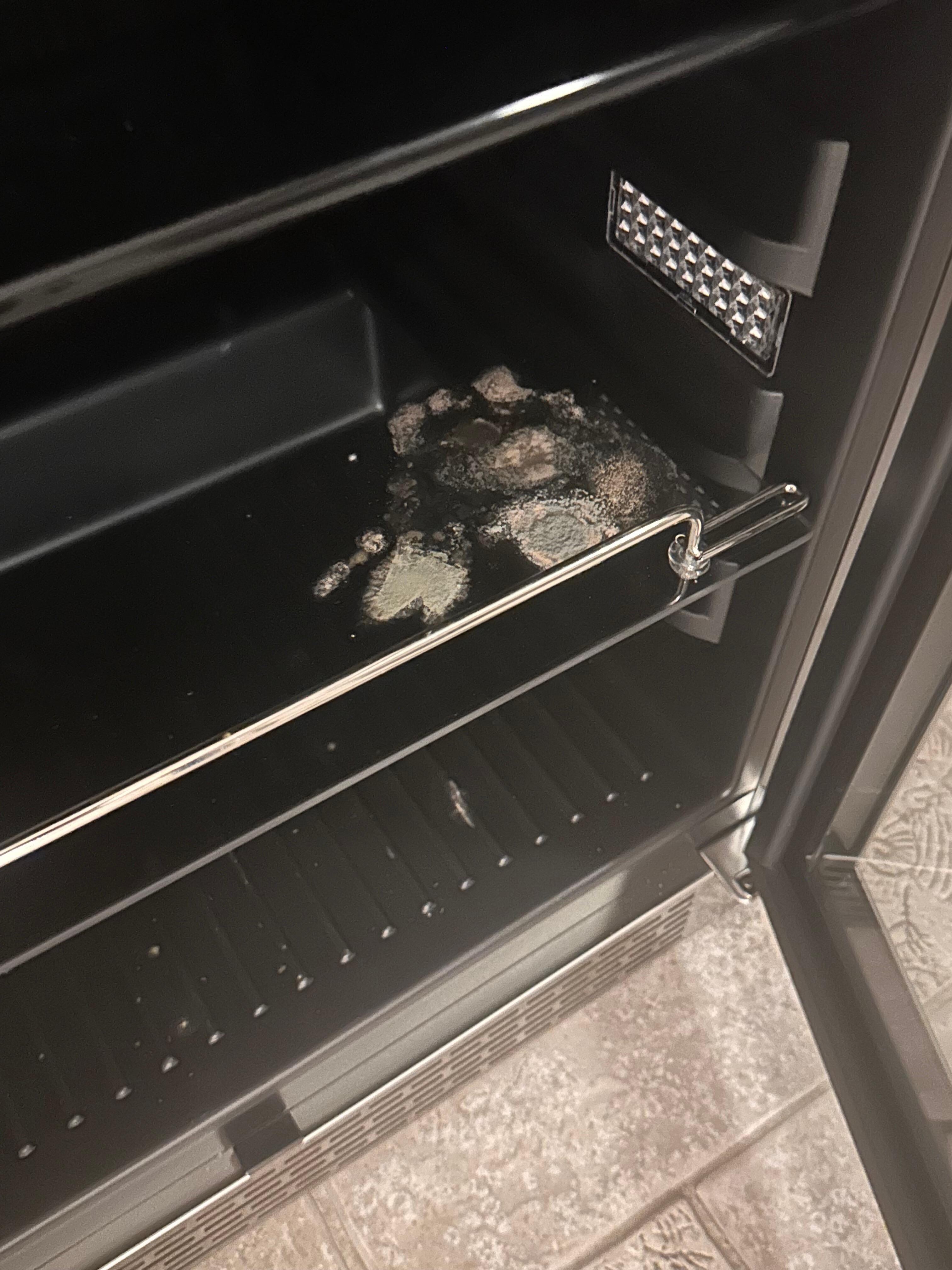 Mold in the mini fridge. 