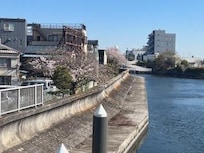 Walk from airbnb towards train station