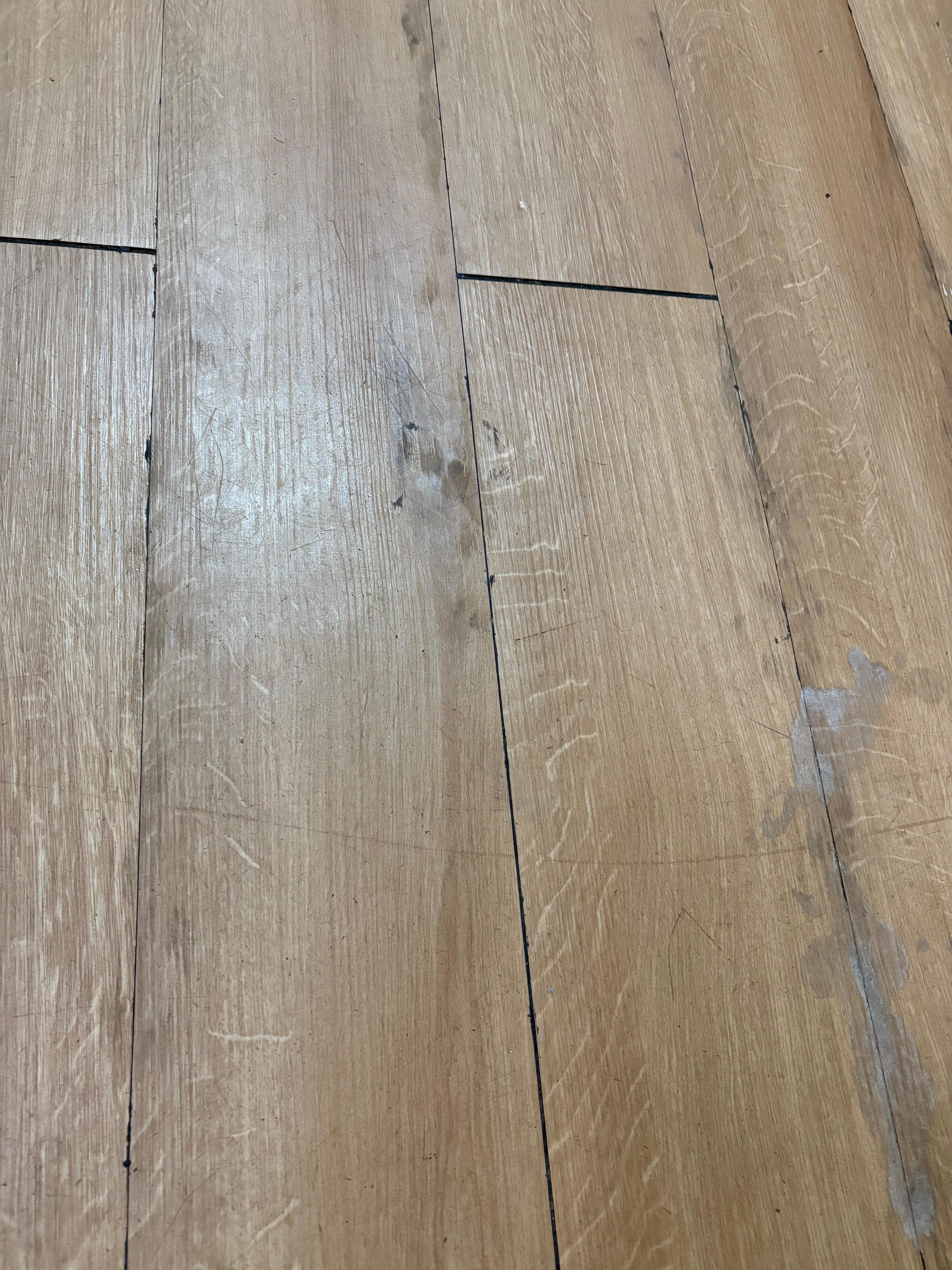 The floor, which appeared to have not been mopped in quite some time. 