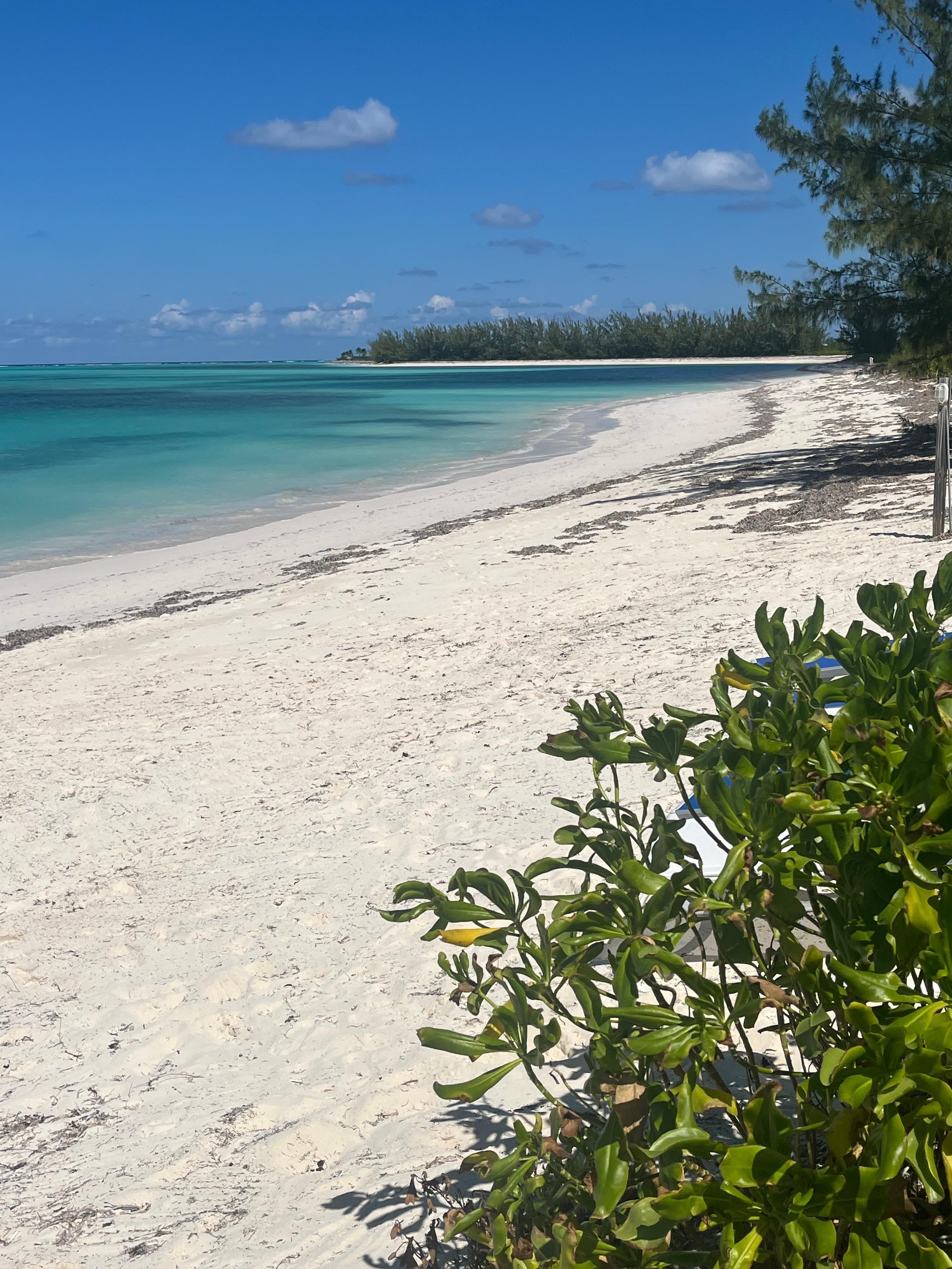 If you like nightlife and lots of activities. You will not like this place 