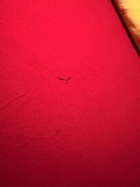 Stains or dirt on sheets