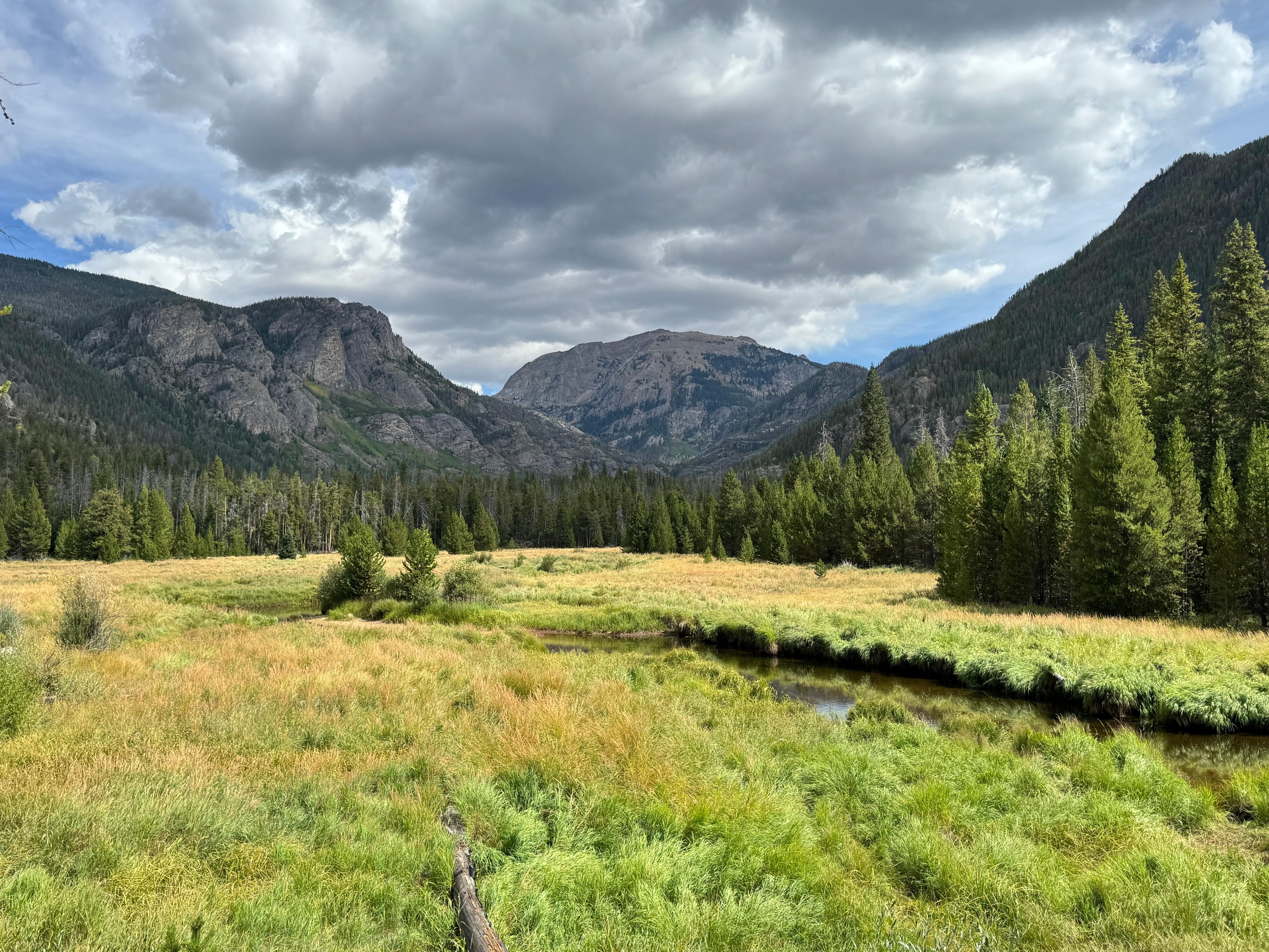 Firstmeadow at adams falls trail.