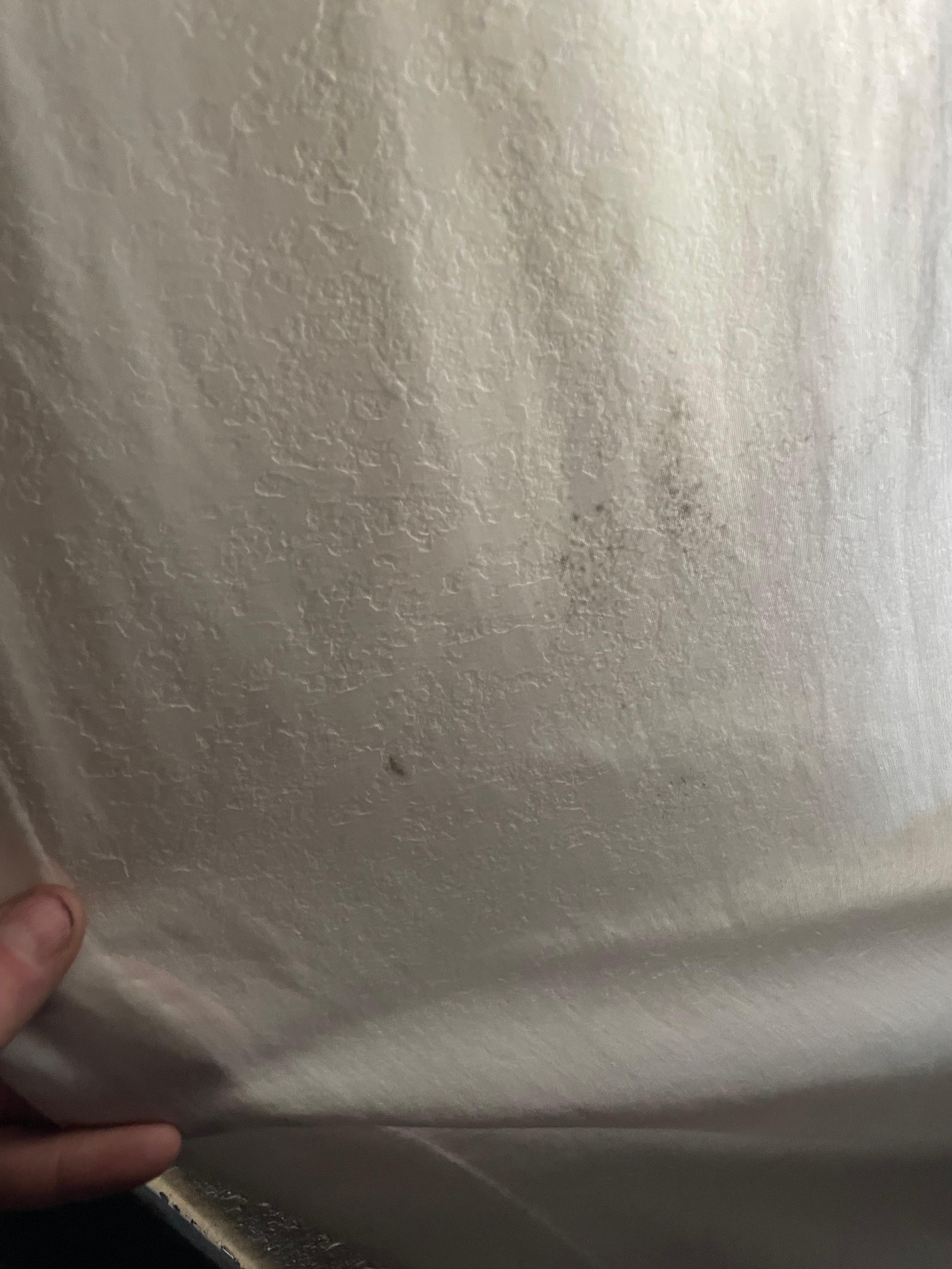 Black Mold on curtains 