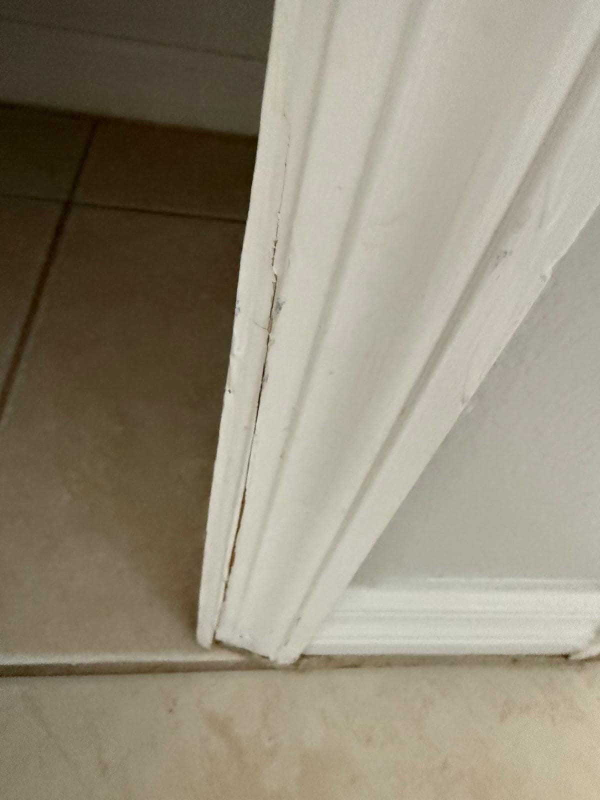 Damaged door