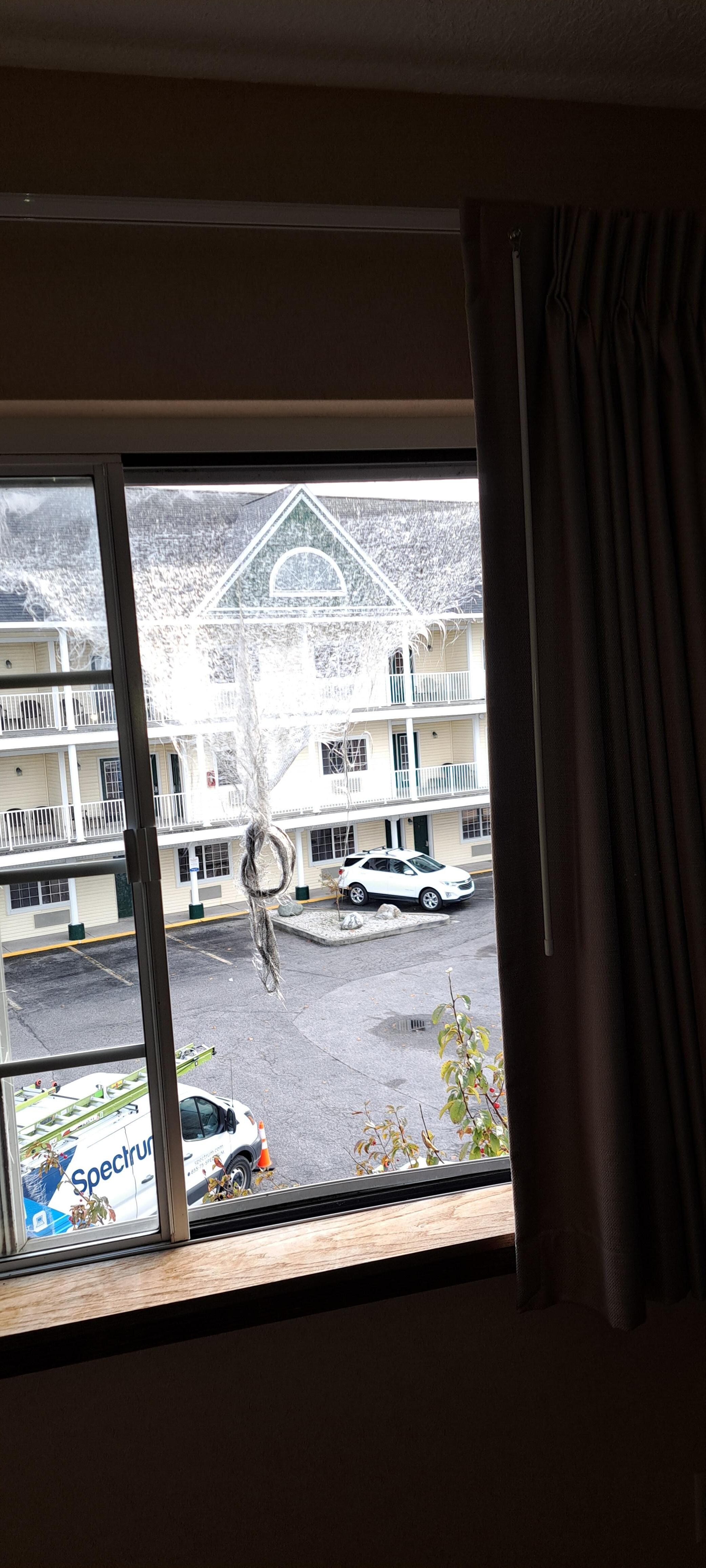 Window screen shredded