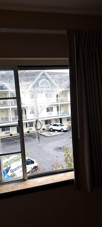 Window screen shredded