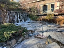 駐車場側の庭園