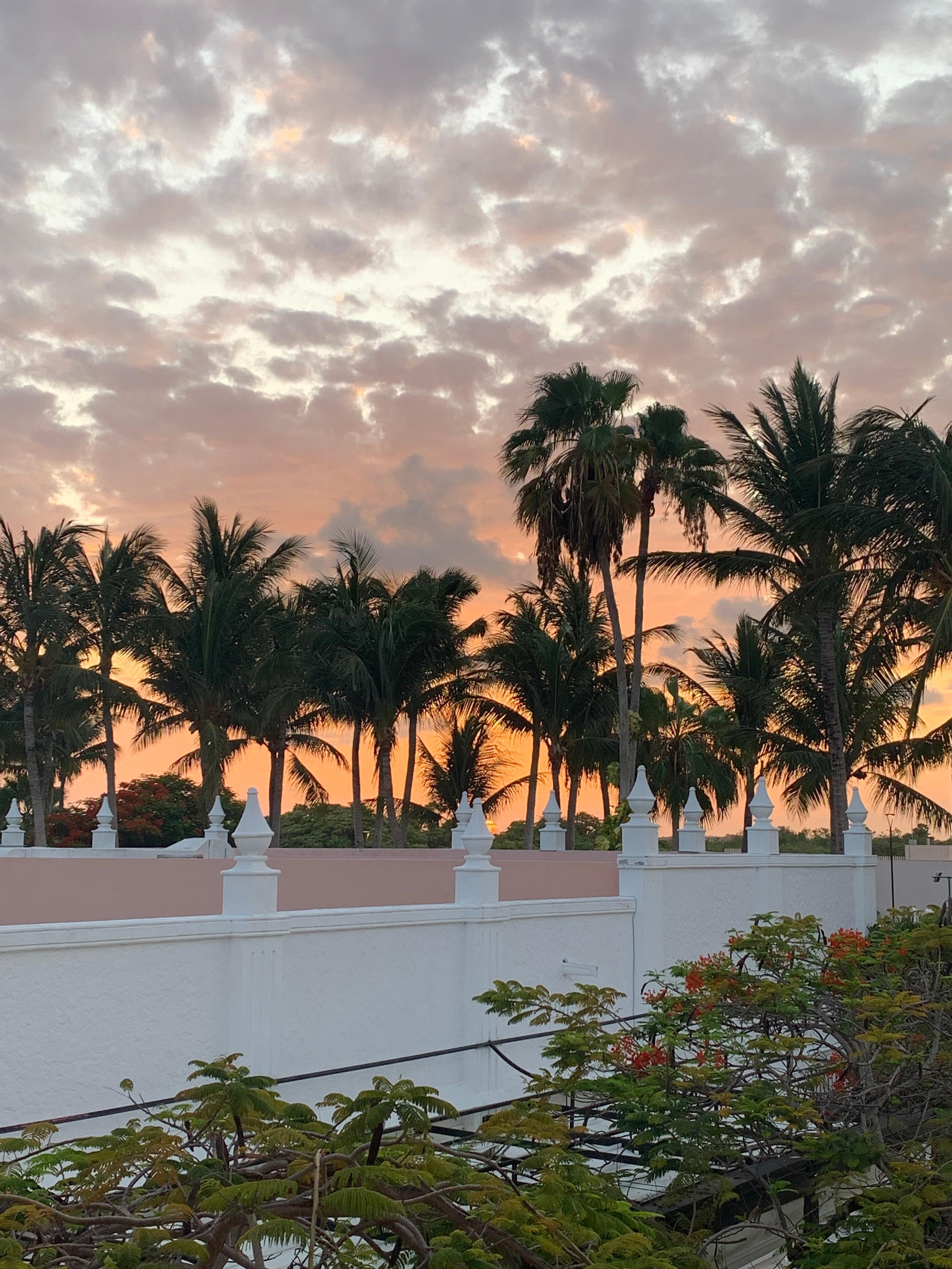 Beautiful sunset