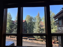 Window view